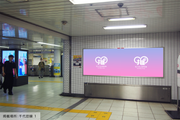 [Tokyo Metro Meiji Jingumae <Harajuku> สถานี] B0/B1 Poster