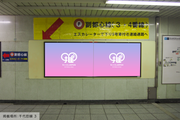 [Tokyo Metro Meiji Jingumae <Harajuku> สถานี] B0/B1 Poster