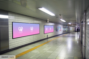 [สถานี Tokyo Metro Nogizaka] B0/B1 โปสเตอร์